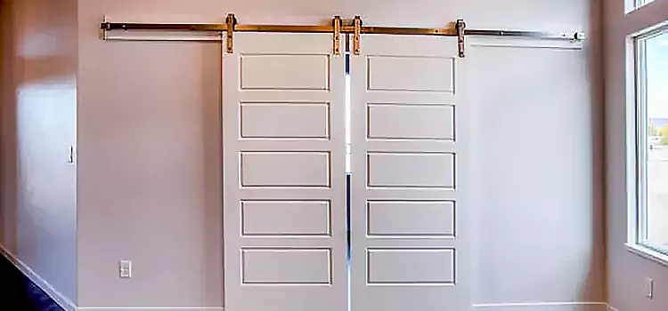 Glass Barn Door with Installation Hardware Kit Hays